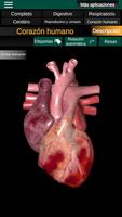 Órganos internos 3D (Anatomía) captura de pantalla 2