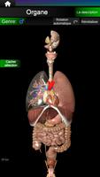 Organes Internes 3D Anatomie capture d'écran 1
