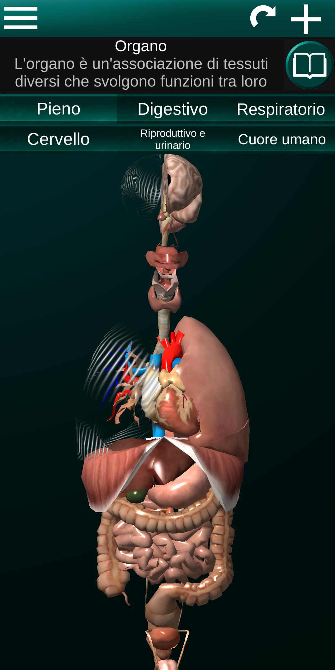 Organi Interni 3d Anatomia For Android Apk Download