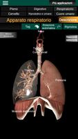 1 Schermata Organi interni 3D (anatomia)
