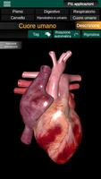 2 Schermata Organi interni 3D (anatomia)