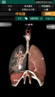 3D内臓（解剖学） スクリーンショット 1