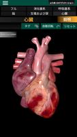 3D内臓（解剖学） スクリーンショット 2