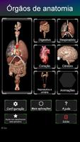 Órgãos Internos em 3D Anatomia Cartaz