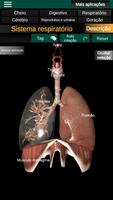 Órgãos Internos em 3D Anatomia imagem de tela 1