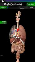 Órgãos Internos em 3D Anatomia imagem de tela 1