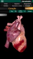 Órgãos Internos em 3D Anatomia imagem de tela 2