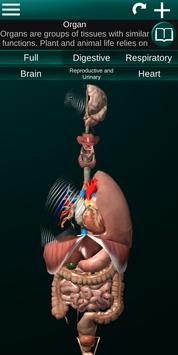 Internal Organs in 3D (Anatomy) 海报