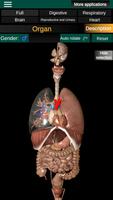 Internal Organs in 3D Anatomy โปสเตอร์