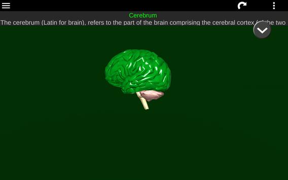 Internal Organs in 3D (Anatomy) 截图 15