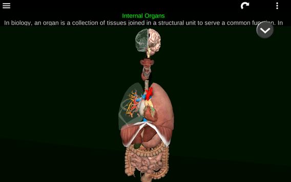 Internal Organs in 3D (Anatomy) 截图 16