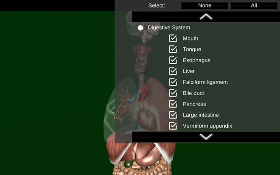 Internal Organs in 3D (Anatomy) 截图 10