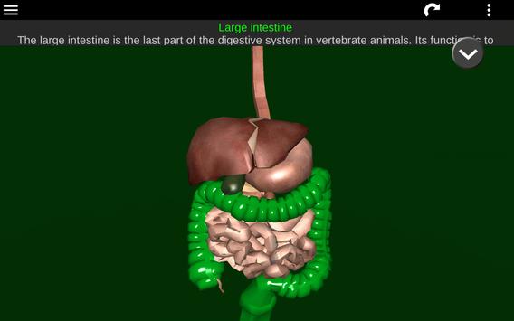 Internal Organs in 3D (Anatomy) 截图 12