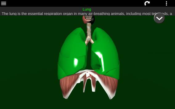 Internal Organs in 3D (Anatomy) 截图 13