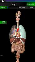 Internal Organs in 3D Anatomy screenshot 1