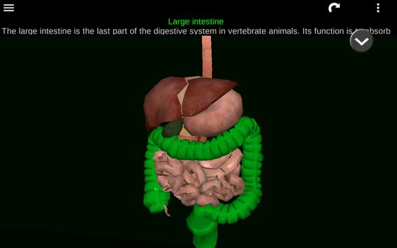 Internal Organs in 3D (Anatomy) 截图 20