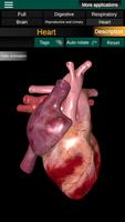 برنامه‌نما Internal Organs in 3D Anatomy عکس از صفحه