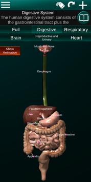 Internal Organs in 3D (Anatomy) 截图 3