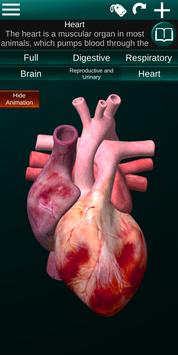 Internal Organs in 3D (Anatomy) 截图 4