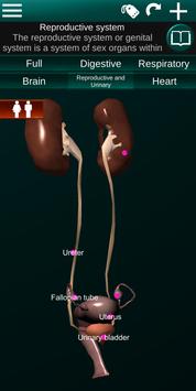 Internal Organs in 3D (Anatomy) 截图 5