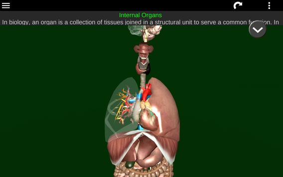 Internal Organs in 3D (Anatomy) 截图 8