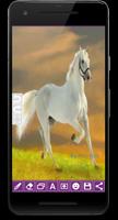 Paint Pro Screenshot 1