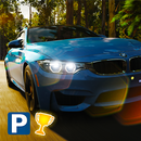 Extreme Driving Brazil (Hard) APK