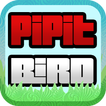 Pipit Bird