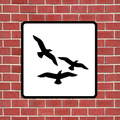 Flocking Live Wallpaper