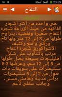 علاج الطبيعة اغذية واعشاب скриншот 3