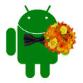 Nameday widget