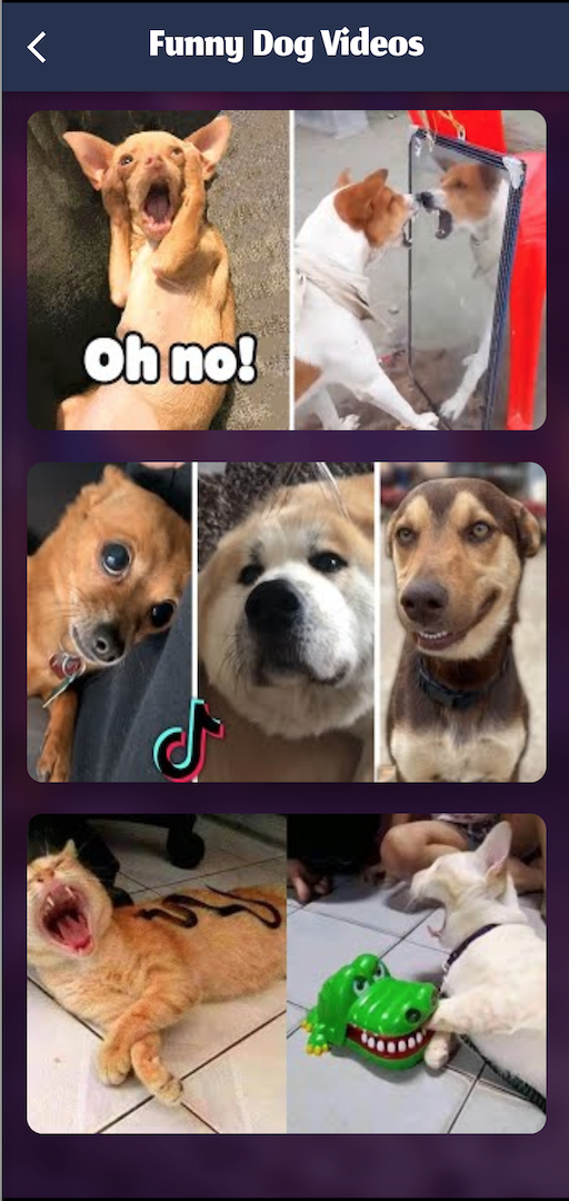 Funny Video Clips APK for Android – Download Funny Video Clips XAPK (APK Bundle) Latest Version from Funny Video Clips APK for Android – Download Funny Video Clips XAPK (APK Bundle) Latest Version from
