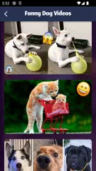 Tile Match: Animal Adventure XAPK 下載