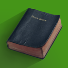 Bible Verses ícone