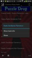 Flamenco Music Radio screenshot 3