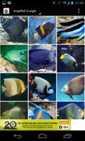 Aquarium Fish Encyclopedia capture d'écran 1