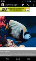 Aquarium Fish Encyclopedia capture d'écran 3