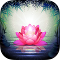 Free Guided Meditation