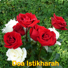 Doa Istikharah أيقونة