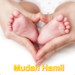 Mudah Hamil