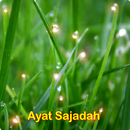 Ayat Sujud Sajadah APK