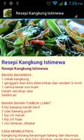 Resepi Kampung Original 海报