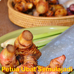 Petua Kecantikan Semulajadi