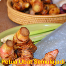 Petua Kecantikan Semulajadi APK