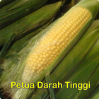 Petua Darah Tinggi ícone