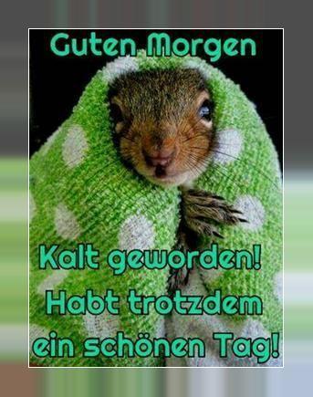 Guten Morgen Bilder Kostenlos Fur Whatsapp 19 For Android Apk Download