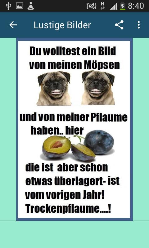 Profil bilder lustige Lustige Bilder: