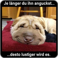 Witzige Bilder Kostenlos für WhatsApp