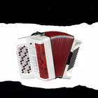 Curso de Acordeon ícone