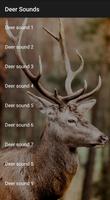 Deer Sounds Affiche